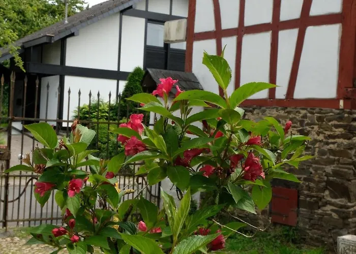 Fraenkischer Hof * Kail